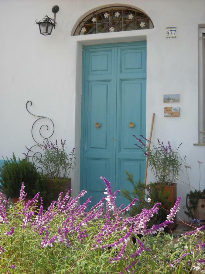 Giardino Della Moscatella Bed & Breakfast Altamura Exterior foto